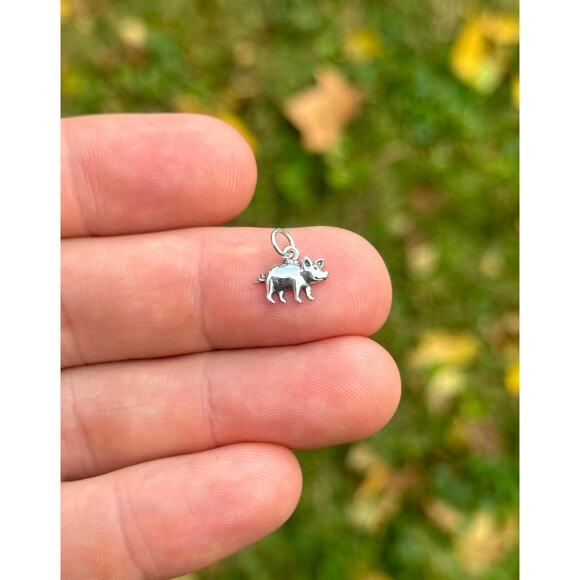 Sterling Silver Tiny Pig Charm, Sterling Silver Small Pig Pendant - Picture 1 of 5